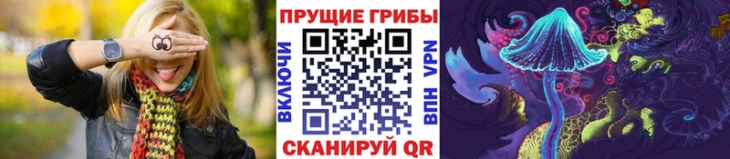 Галлюциногенные грибы Psilocybine cubensis  Купить закладки  Ярославль 